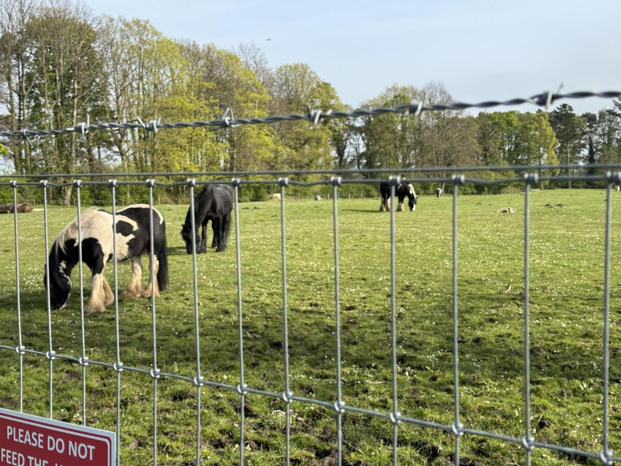 Pony Gate Caravan On Haggerstone Castle West Lawn Berwick Upon Tweed Exterior foto